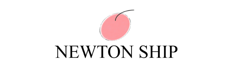 株式会社NEWTONSHIP